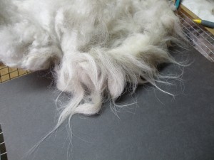 course fiber and guard hair round the edge